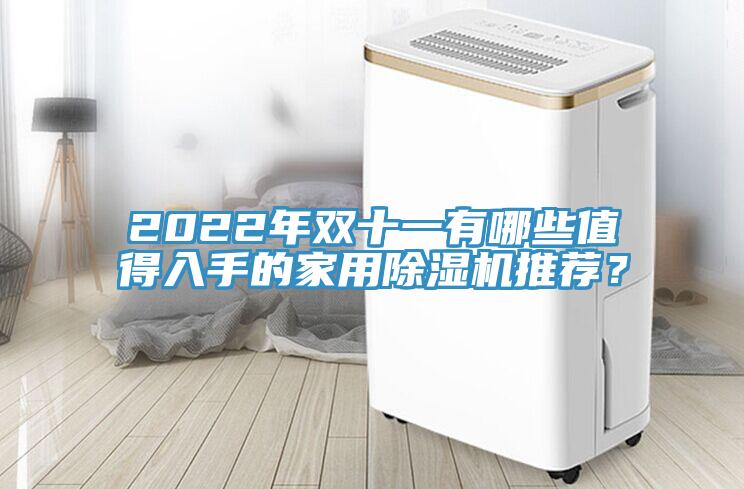 2022年雙十一有哪些值得入手的家用除濕機(jī)推薦？