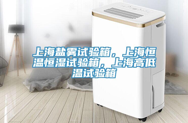 上海鹽霧試驗(yàn)箱，上海恒溫恒濕試驗(yàn)箱，上海高低溫試驗(yàn)箱