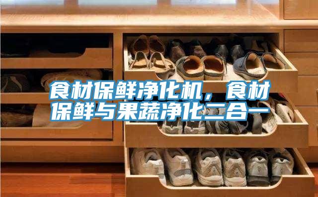 食材保鮮凈化機(jī)，食材保鮮與果蔬凈化二合一