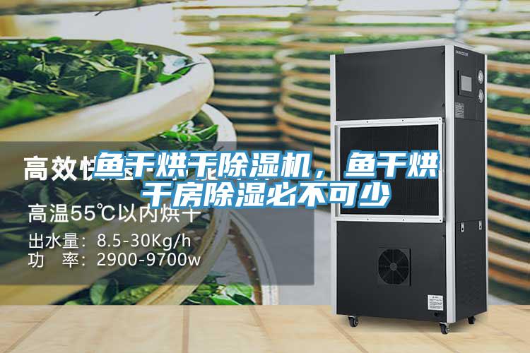 魚干烘干除濕機(jī)，魚干烘干房除濕必不可少