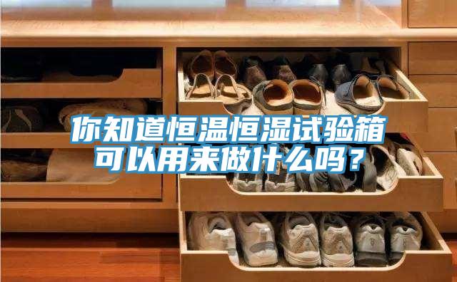 你知道恒溫恒濕試驗(yàn)箱可以用來做什么嗎？