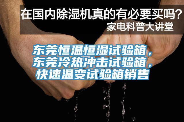 東莞恒溫恒濕試驗(yàn)箱，東莞冷熱沖擊試驗(yàn)箱，快速溫變試驗(yàn)箱銷售