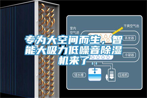 專為大空間而生，智能大吸力低噪音除濕機(jī)來了