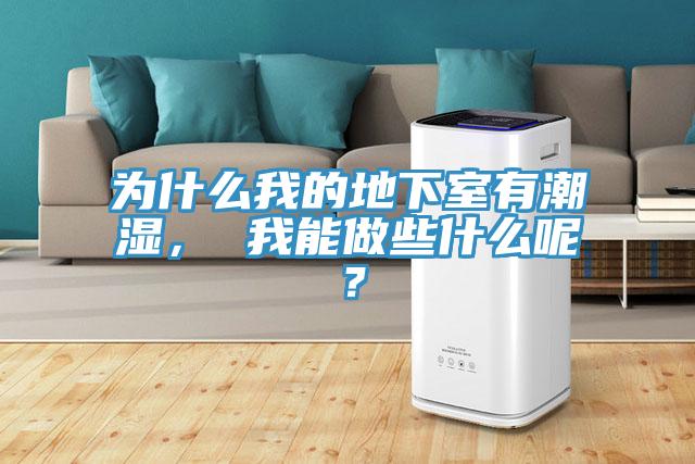 為什么我的地下室有潮濕， 我能做些什么呢？