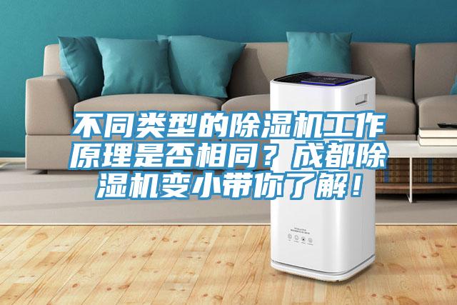 不同類(lèi)型的除濕機(jī)工作原理是否相同？成都除濕機(jī)變小帶你了解！