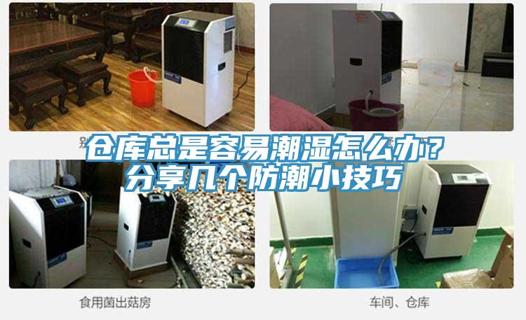 倉庫總是容易潮濕怎么辦？分享幾個防潮小技巧
