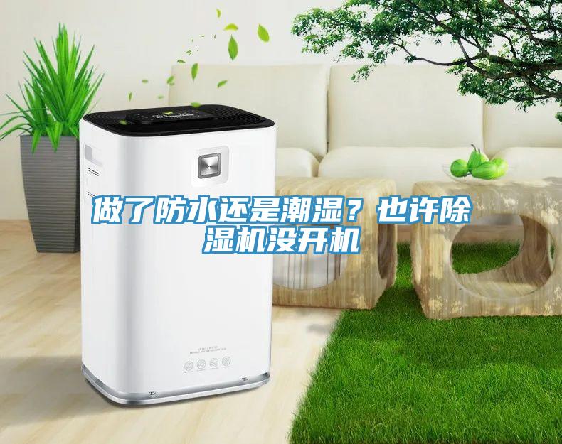 做了防水還是潮濕？也許除濕機沒開機