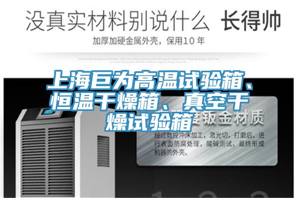 上海巨為高溫試驗(yàn)箱、恒溫干燥箱、真空干燥試驗(yàn)箱