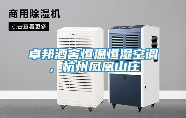 卓邦酒窖恒溫恒濕空調(diào)，杭州鳳凰山莊