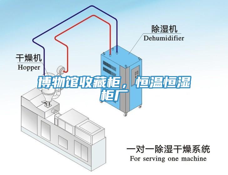 博物館收藏柜，恒溫恒濕柜廠