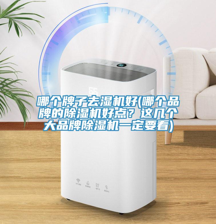哪個(gè)牌子去濕機(jī)好(哪個(gè)品牌的除濕機(jī)好點(diǎn)？這幾個(gè)大品牌除濕機(jī)一定要看)