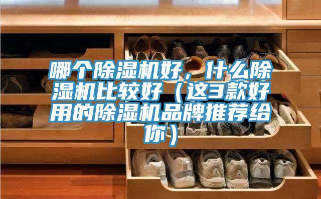 哪個(gè)除濕機(jī)好，什么除濕機(jī)比較好（這3款好用的除濕機(jī)品牌推薦給你）