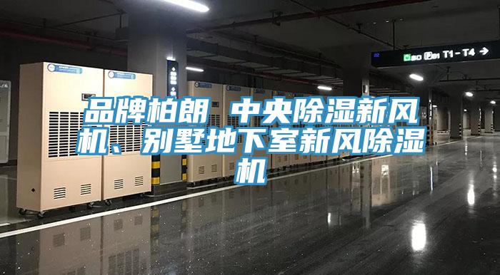 品牌柏朗 中央除濕新風機、別墅地下室新風除濕機