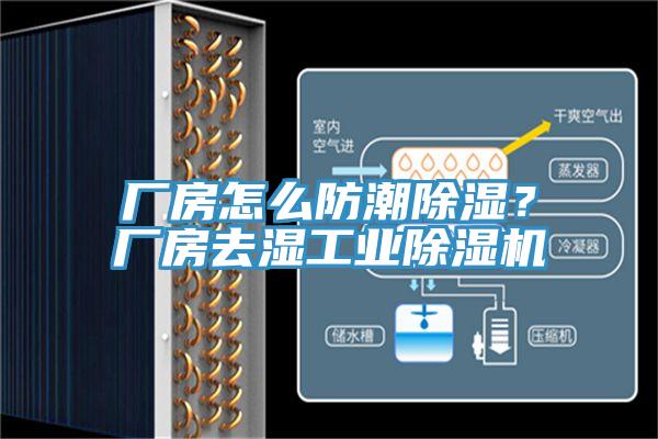 廠房怎么防潮除濕？廠房去濕工業(yè)除濕機(jī)