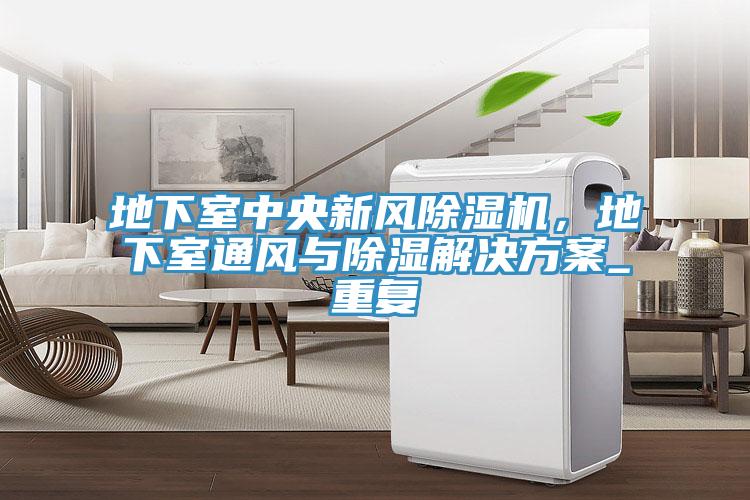 地下室中央新風(fēng)除濕機(jī)，地下室通風(fēng)與除濕解決方案_重復(fù)