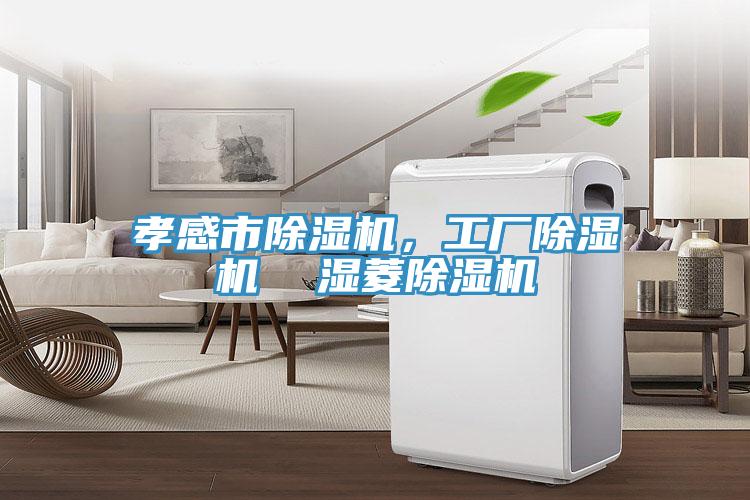 孝感市除濕機(jī)，工廠除濕機(jī)  濕菱除濕機(jī)