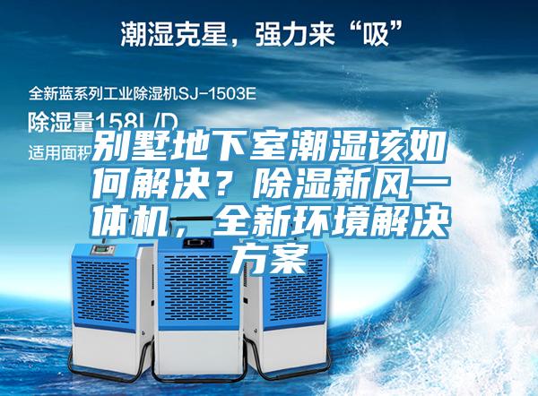 別墅地下室潮濕該如何解決？除濕新風(fēng)一體機(jī)，全新環(huán)境解決方案