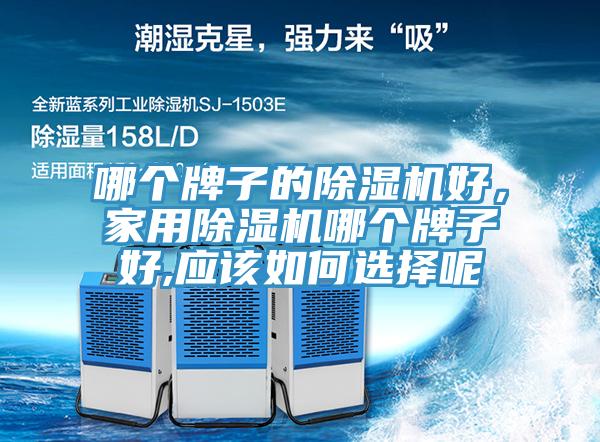 哪個牌子的除濕機好，家用除濕機哪個牌子好,應該如何選擇呢