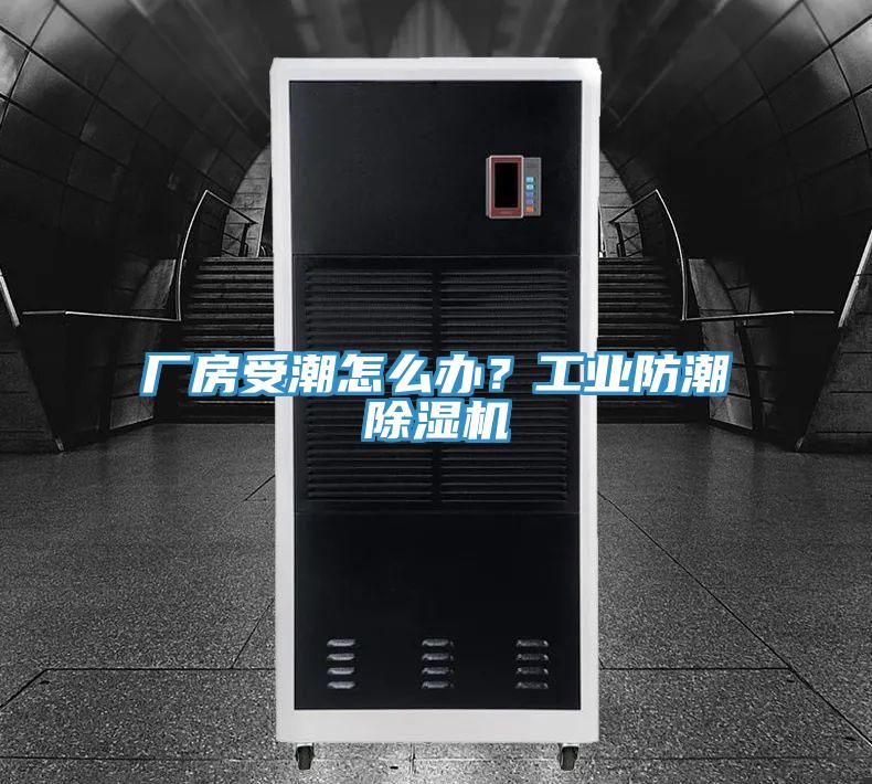 廠房受潮怎么辦？工業(yè)防潮除濕機(jī)