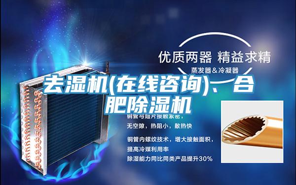 去濕機(jī)(在線咨詢)、合肥除濕機(jī)