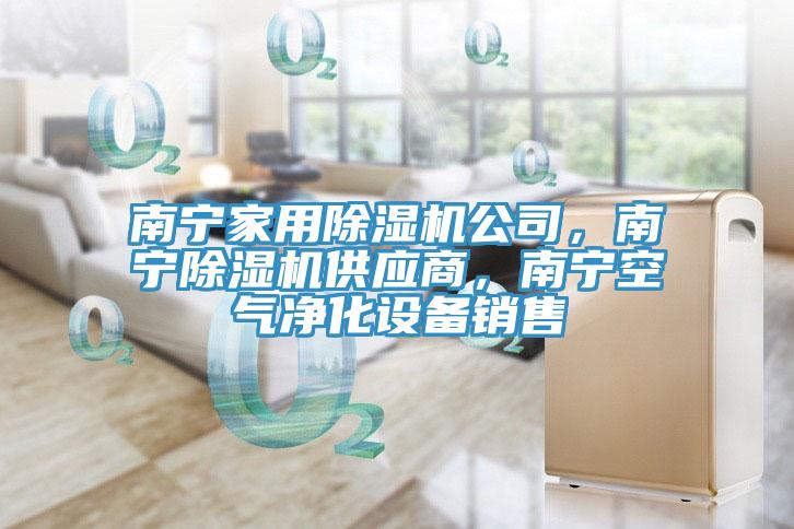 南寧家用除濕機(jī)公司，南寧除濕機(jī)供應(yīng)商，南寧空氣凈化設(shè)備銷售
