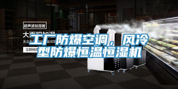 工廠防爆空調(diào)，風(fēng)冷型防爆恒溫恒濕機(jī)