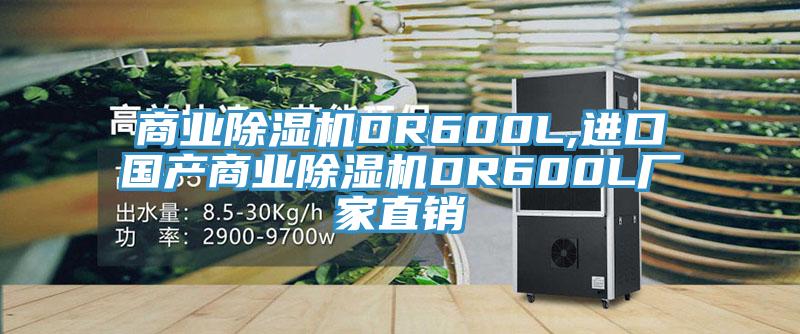 商業(yè)除濕機(jī)DR600L,進(jìn)口國(guó)產(chǎn)商業(yè)除濕機(jī)DR600L廠(chǎng)家直銷(xiāo)