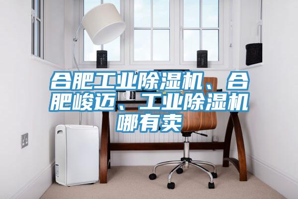 合肥工業(yè)除濕機(jī)、合肥峻邁、工業(yè)除濕機(jī)哪有賣