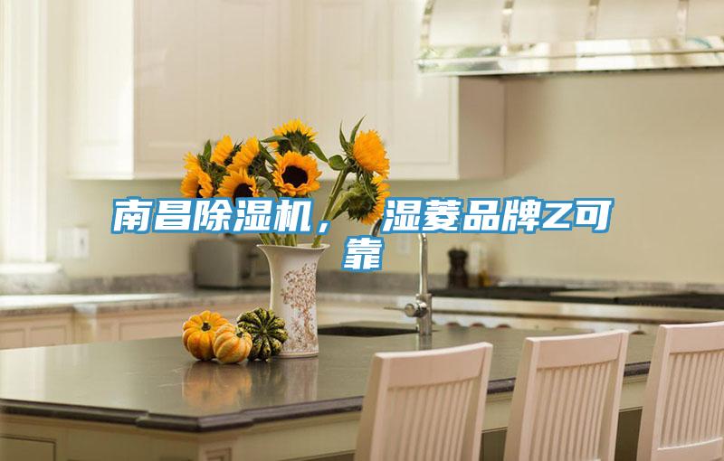 南昌除濕機(jī)， 濕菱品牌Z可靠