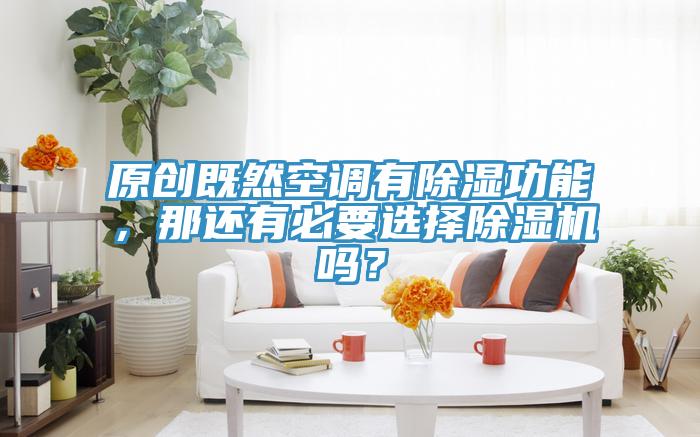 原創(chuàng)既然空調(diào)有除濕功能，那還有必要選擇除濕機(jī)嗎？