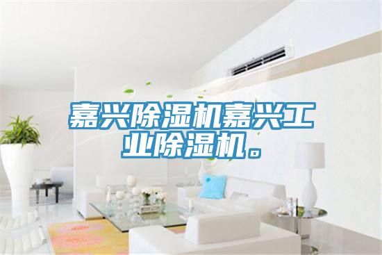 嘉興除濕機(jī)嘉興工業(yè)除濕機(jī)。