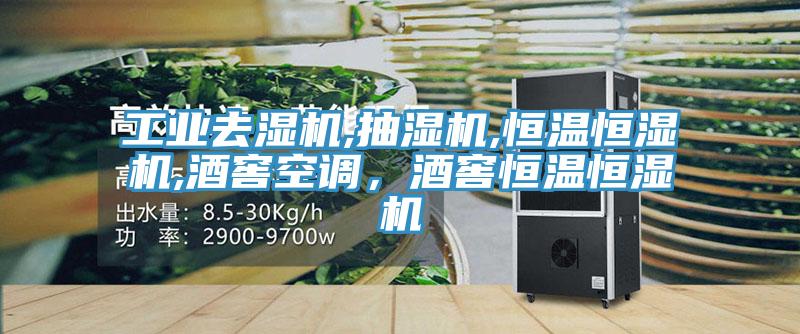 工業(yè)去濕機,抽濕機,恒溫恒濕機,酒窖空調(diào)，酒窖恒溫恒濕機