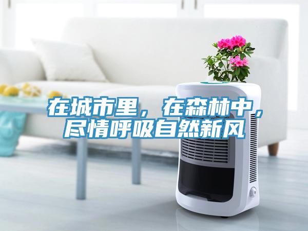 在城市里，在森林中，盡情呼吸自然新風