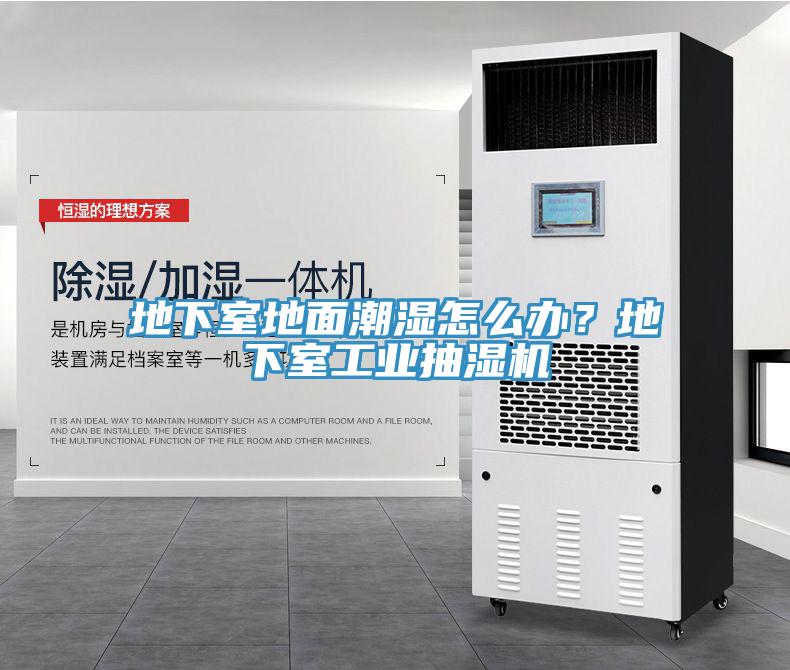 地下室地面潮濕怎么辦？地下室工業(yè)抽濕機(jī)