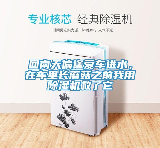 回南天偏逢愛車進(jìn)水，在車?yán)镩L(zhǎng)蘑菇之前我用除濕機(jī)救了它