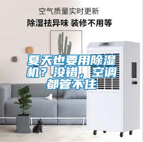 夏天也要用除濕機(jī)？沒錯(cuò)，空調(diào)都管不住