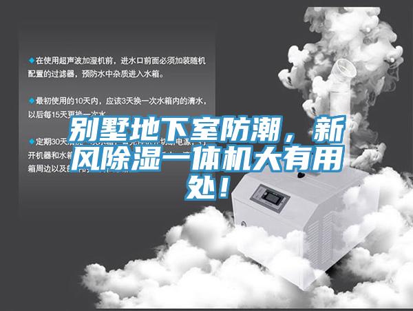 別墅地下室防潮，新風(fēng)除濕一體機(jī)大有用處！