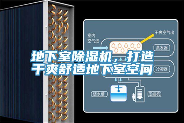 地下室除濕機(jī)，打造干爽舒適地下室空間