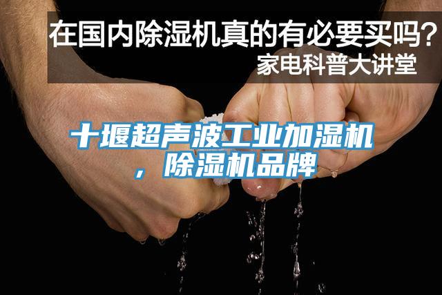 十堰超聲波工業(yè)加濕機，除濕機品牌