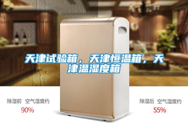 天津試驗箱，天津恒溫箱，天津溫濕度箱