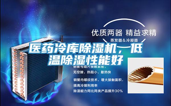醫(yī)藥冷庫除濕機，低溫除濕性能好
