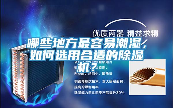 哪些地方最容易潮濕，如何選用合適的除濕機？