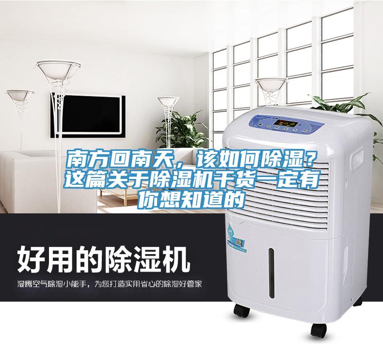 南方回南天，該如何除濕？這篇關于除濕機干貨一定有你想知道的