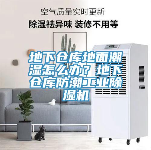 地下倉(cāng)庫(kù)地面潮濕怎么辦？地下倉(cāng)庫(kù)防潮工業(yè)除濕機(jī)