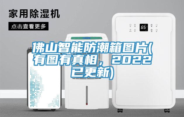 佛山智能防潮箱圖片(有圖有真相，2022已更新)