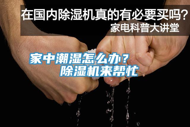 家中潮濕怎么辦？    除濕機(jī)來(lái)幫忙