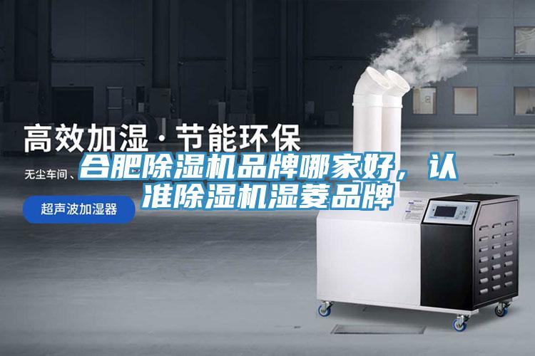 合肥除濕機品牌哪家好，認準除濕機濕菱品牌