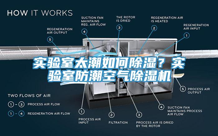 實(shí)驗(yàn)室太潮如何除濕？實(shí)驗(yàn)室防潮空氣除濕機(jī)