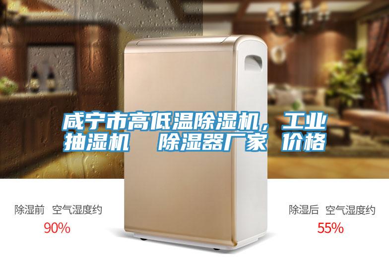 咸寧市高低溫除濕機(jī)，工業(yè)抽濕機(jī)  除濕器廠家 價格