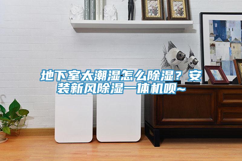 地下室太潮濕怎么除濕？安裝新風(fēng)除濕一體機(jī)唄~